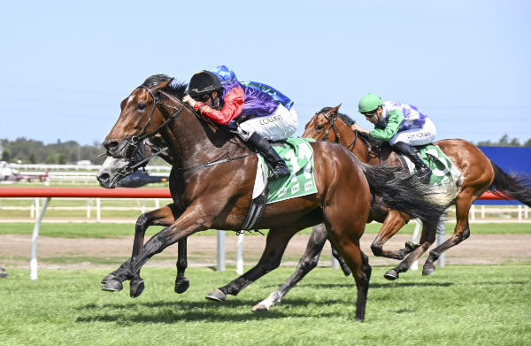 Gilded Water (GB) scores at Kembla - image Steve Hart