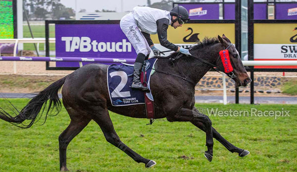 Ginger Baker gets a stakes win! - image Western Racepix