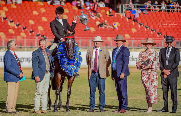 Godolphin's Australian Managing Director Vic Cox was a judge of the  thoroughbred classes at Sydney Royal this year. 
