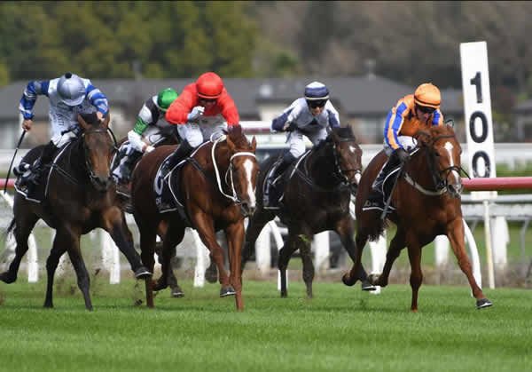 Glamour Tycoon (red cap) will step up to stakes level on Saturday in the Listed Waikato Equine Veterinary Centre 2YO Stakes (1200m) at Te Rapa. Photo: Race Images