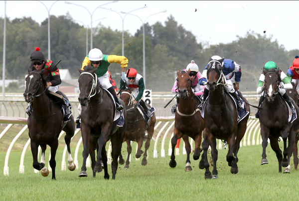 Glance, in the green and gold silks, drives through late to score on debut at Pukekohe. Photo: Trish Dunell