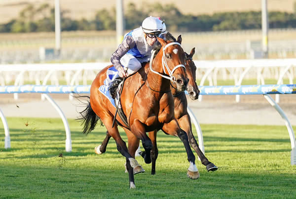 Glint of Hope wins with ease at Pakenham - image Scott Barbour / Racing Photos