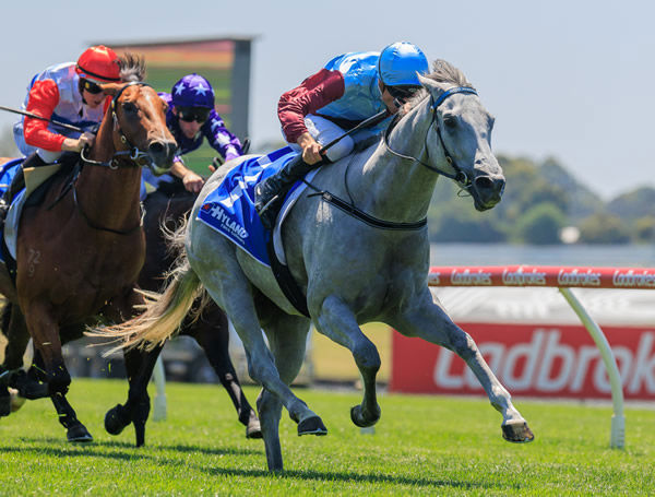Glint of Silver wins G2 Autumn Stakes - image Grant Courtney 