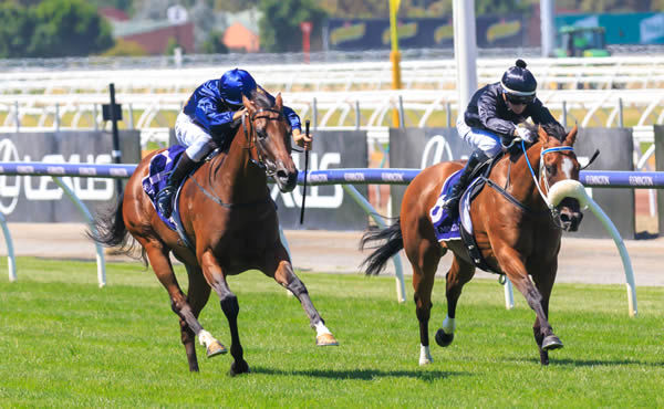 Glistening returns to form to win the Listed Moomba Stakes - image Grant Courtney