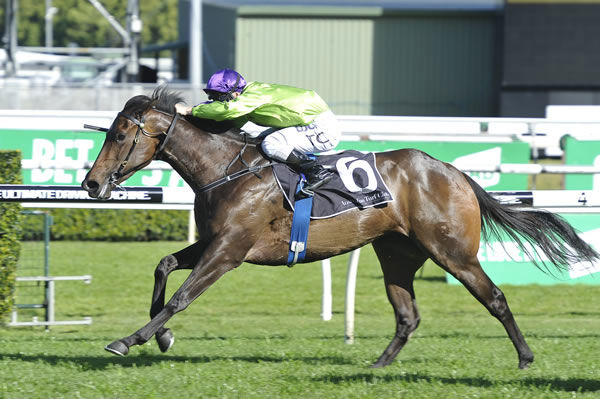 Global Glamour was a dominant winner of the 2016 Flight Stakes - image Steve Hart