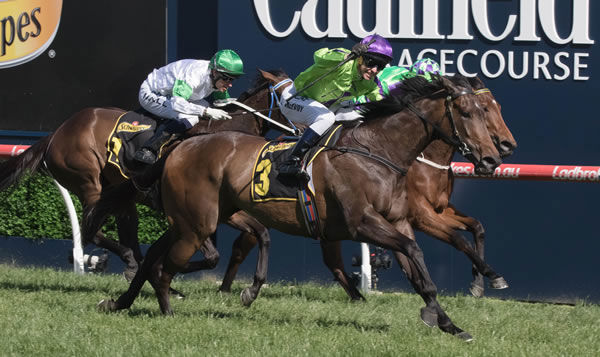 Global Glamour wins her second G1 seven days later taking the MRC Thousand Guineas - image Grant Courtney