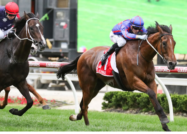 Globe wins the Listed Cranbourne Cup for jockey Ethan Brown. Photo: Bruno Cannatelli