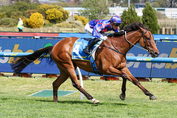 Globe scores an all-the-way victory in the A$1 million Gr.1 Might And Power Stakes (2000m) at Caulfield on Saturday. Photo: Bruno Cannatelli