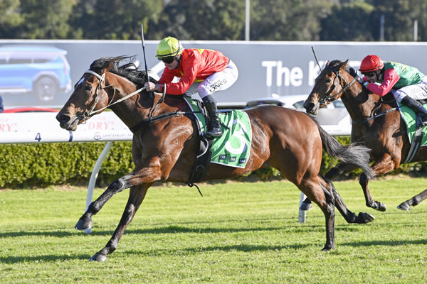 Glorious Moments returns a different horse at Canterbury - image Bradley Photography