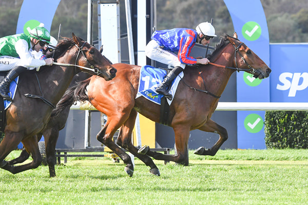 Smart 3yo Winner For Vinery Stud's Ole Kirk As Godtfred Kirk Breaks Maiden - Image at Scala/Racing Photos