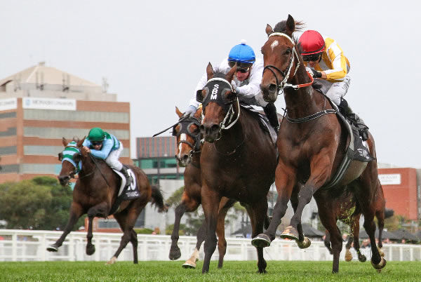 Gold Wolf (red cap) heads Antrim Coast to win the Listed Galilee Series Final at Caulfield. Photo: Bruno Cannatelli 