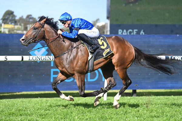 Golden Mile wins the Ming Dynasty by a space - image Steve Hart
