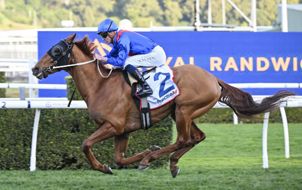 Golden Path  (NZ) wins at Randwick - image Steve Hart 