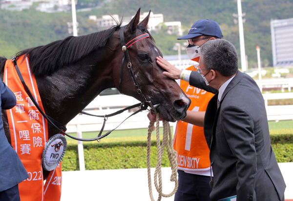 Golden Sixty does it again! HK Horse of the Year for two years in a row - image HKJC