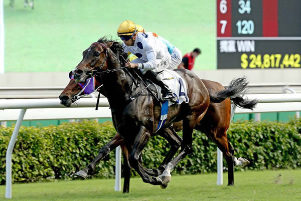 Golden Sixty wins the G2 Sha Tin Trophy - image HKJC