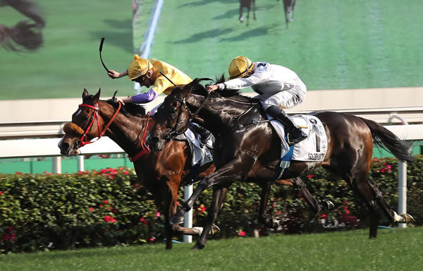 Golden Sixty flashes home to win the HK Derby - images HKJC