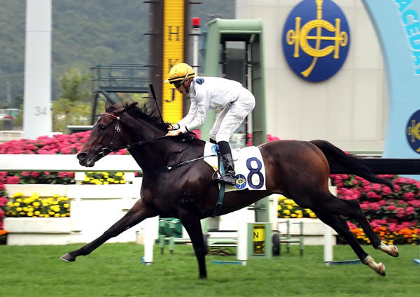 Golden Sixty has won seven of eight starts - image HKJC