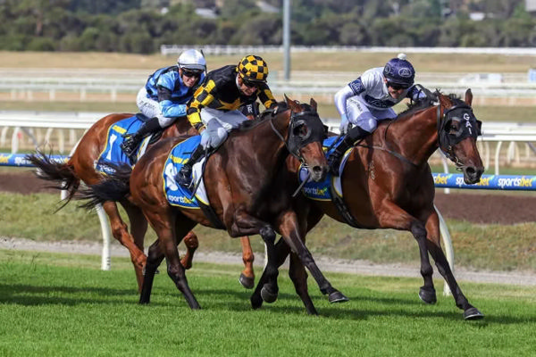 Goldman wins the Pakenham Cup. Photo: Bruno Canatelli