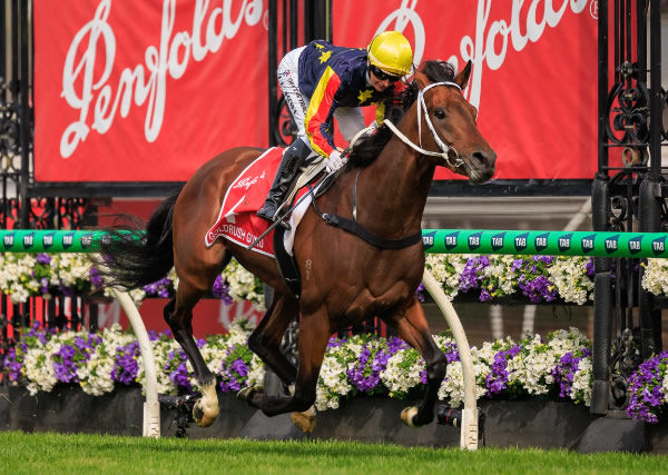 Goldrush Guru wins the Victoria Derby - image Grant Courtney