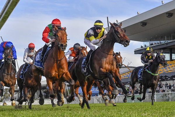 Good Banter (outside) gets the better of Cormac T to score at Rosehill. Photo: bradleyphotos.com.au