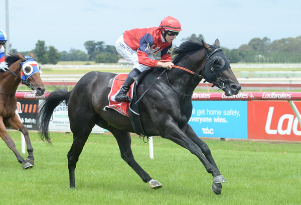 Goodes breaks the maiden at Sale - image Ross Holburt - Racing Photos