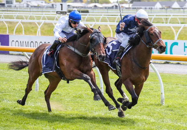 Grace’s Secret (inner) and Stimulant battle out a desperate finish at Riccarton Photo Credit: Race Images South