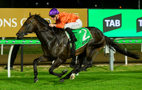 Grafterburners wins the $3million Sunlight - image Magic Millions