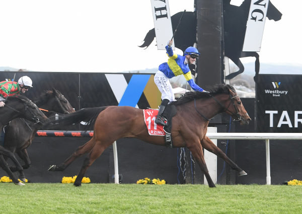 Matt Cartwright and Grail Seeker winning the Gr.1 Westbury Stud Tarzino Trophy (1400m) at Hastings.  Photo: Peter Rubery (Race Images Palmerston North)