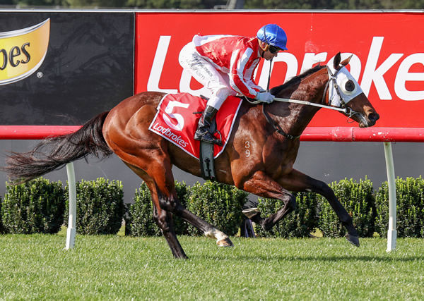 Grand Impact is well clear as he makes it two wins in a row with a victory at Sandown Photo credit: George Sal Racing Photos