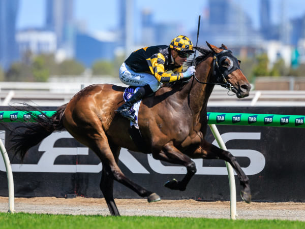 Grand Pierro wins the Listed Bagot Handicap - image Grant Courtney