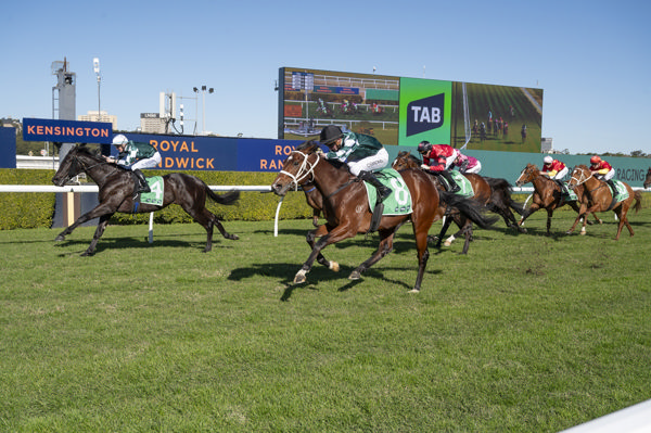 Grand Prairie scores narrowly on the inside over late charging Pictor - image Bradley Photography