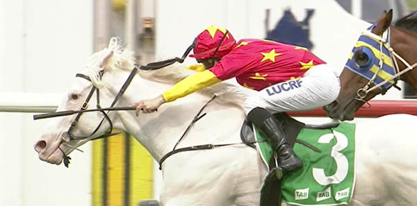 Grand Bernini won on Saturday for China Horse Club
