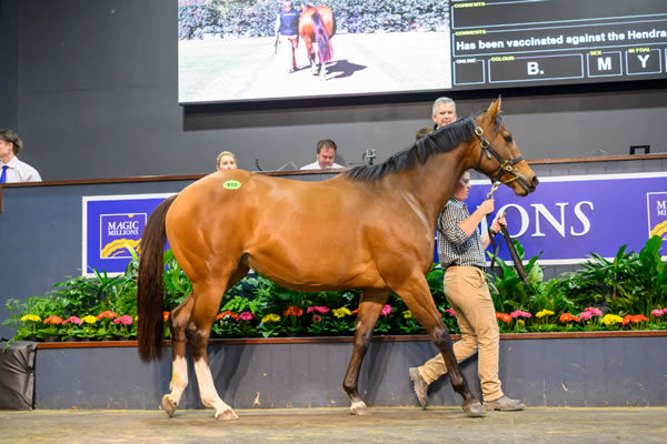 Great Vibes was bought by Yulong for $1.35million -image MM
