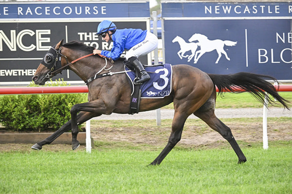 Exciting Three Length Win By Green Spaces In The G3 NJC Spring Stakes - Image Bradley Photos