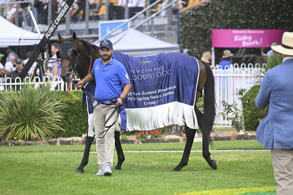 Green Spaces Will Now Spell With 3YO Targets In The Autumn - Image Bradley Photos