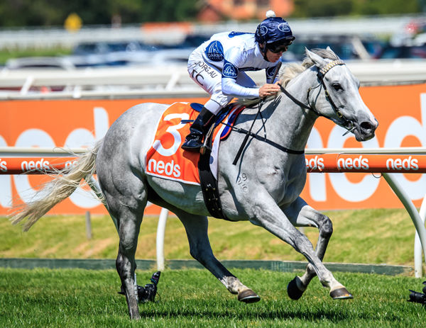 Greysful Glamour wins the G3 Mannerism Stakes - images Grant Courtney