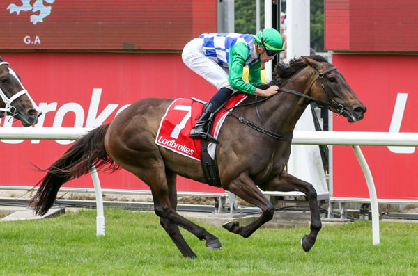 Grid Girl winning the Rosemont Stud Fillies & Mares Pendant (1400m) at Cranbourne on Saturday. Photo: Bruno Cannatelli