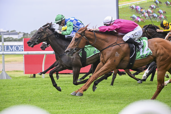 Grid Girl (green cap) gets her nose in front to win at Rosehill on Sunday. Photo: Bradleyphotos.com.au