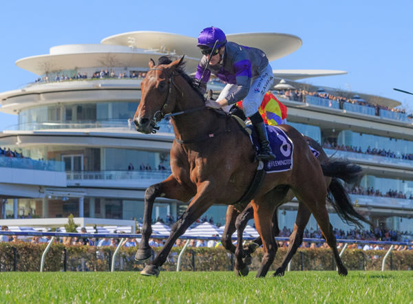 Griff wins the Exford Stakes - image Grant Courtney