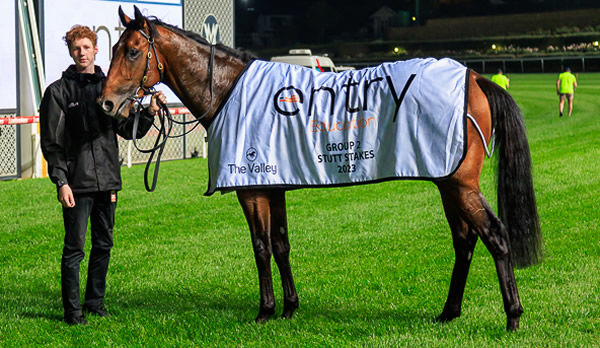 Griff is on his way to the Caulfield Guineas - image Grant Courtney