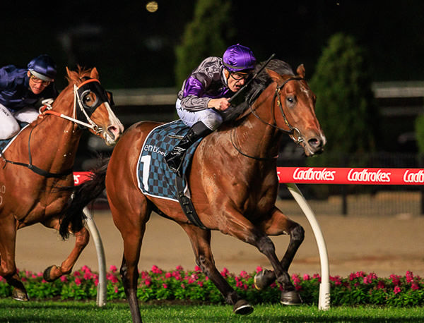 Griff wins the G2 Stutt Stakes - image Grant Courtney