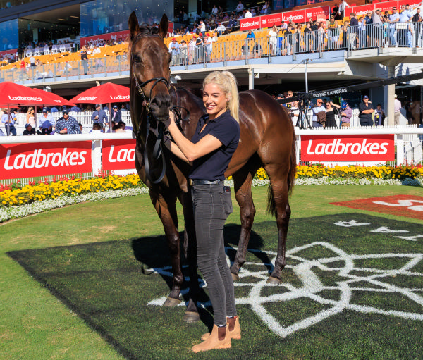 Gringotts comes from the family of world champion racehorse Winx - image Grant Courtney  