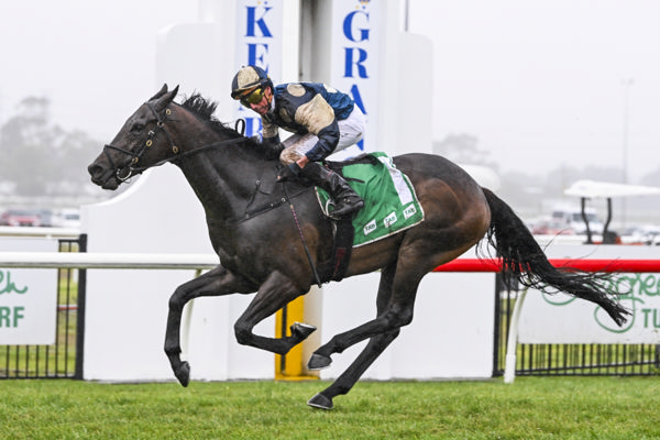 Gringotts successfully defends his title in Saturday’s A$1 million The Illawarra Mercury Gong (1600m) at Kembla Grange. Photo: bradleyphotos.com.au