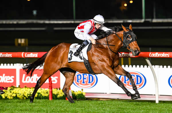 Groundswell broke the track record for 1500m - image Reg Ryan / Racing Photos 