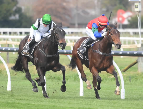 Grove Street (inside) fights hard to fend off Honey Badger in Saturday’s Sign Central 2YO (1100m) at Hastings.   Photo: Peter Rubery (Race Images Palmerston North)