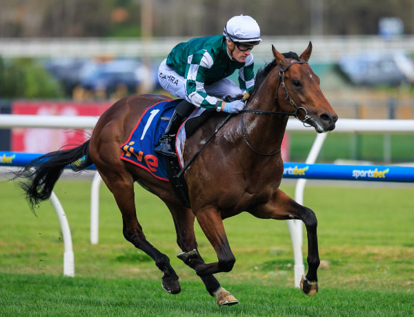 Growing Empire wins the G3 McNeil Stakes - image Grant Courtney