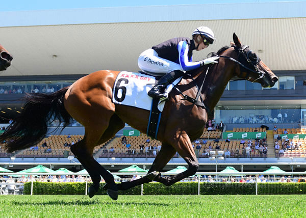 Gypsy Goddess makes it three wins on end with a gritty victory at Doomben last start Photo Credit: Grant Peters