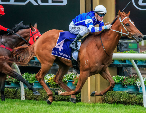G1 sprinter Gytrash will run for Inglis in the 2020 Everest  