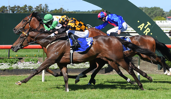 Warren Kennedy recording his seventh win of the day aboard Habana (outside) in the Gr.2 Rich Hill Mile (1600m) at Pukekohe on New Year's Day.  Photo: Kenton Wright (Race Images)