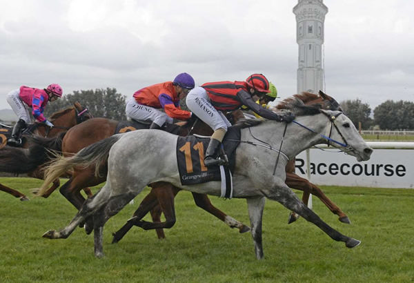 Half Of Nothing winning at Hawera on Sunday. Photo: Peter Rubery (Race Images Palmerston North)